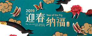上腹部超聲波檢查：瞭解你的內臟健康狀況